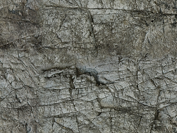 Rock wall texture (ID:ffaeg97854)