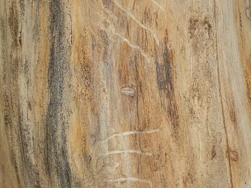 old wood texture (ID:ffagg70193)
