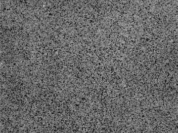 True stone paint texture (ID:ffacg21999)