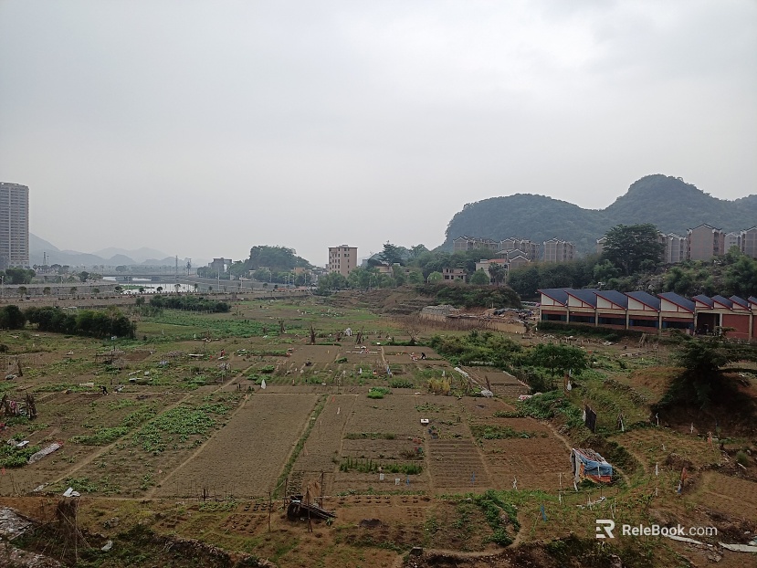 Pastoral scenery texture
