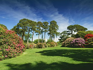 Wild Scenery texture (ID:ffach932673)