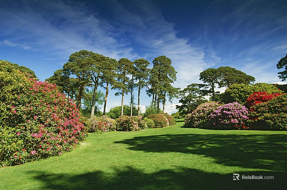 Wild Scenery texture