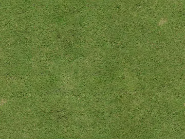 Turf texture (ID:ffagh335236)