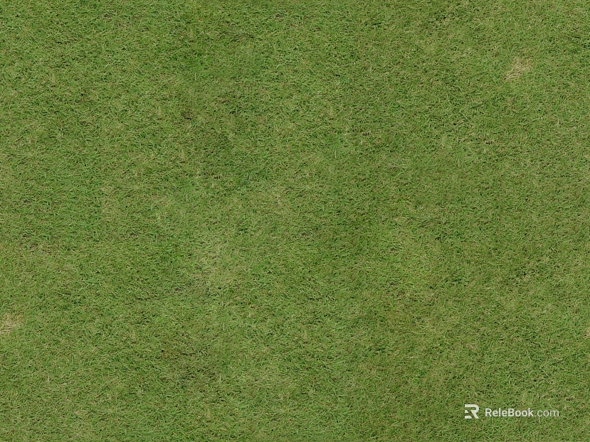 Turf texture