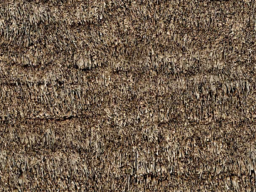 Thatch texture (ID:ffaeg10218)