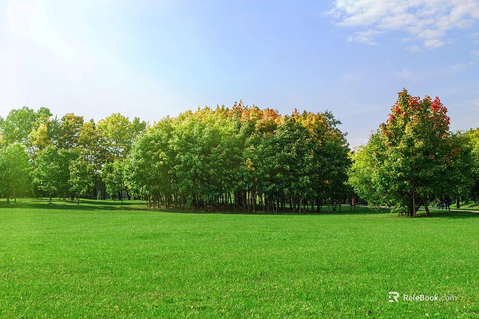 Wild Scenery texture