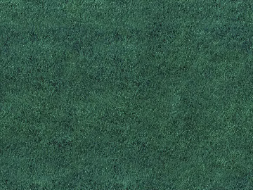 Grassland texture (ID:ffaeg91582)