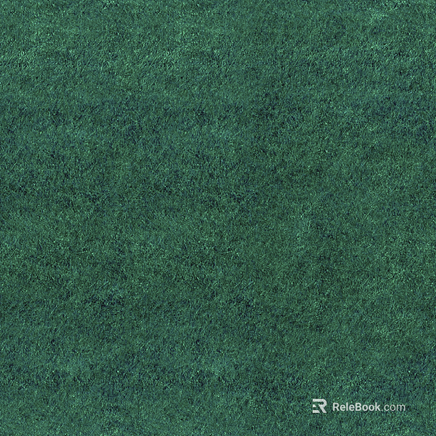 Grassland texture