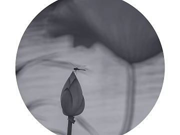 black and white painting texture (ID:ffaeg42352)