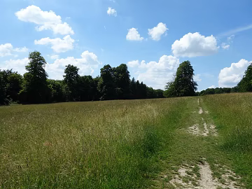 Wild Scenery texture (ID:ffaeg07463)