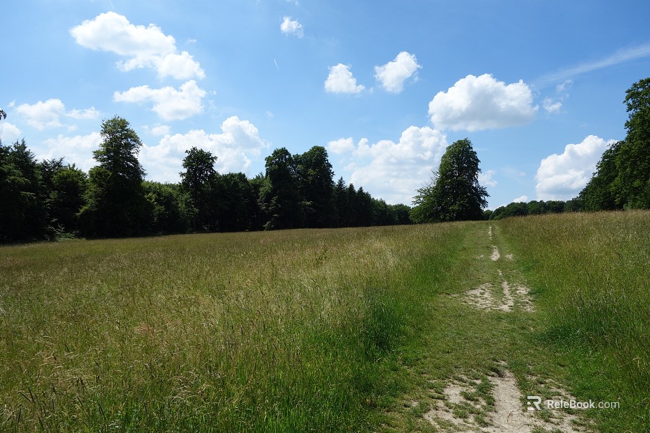 Wild Scenery texture