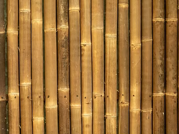 Bamboo texture (ID:ffabg45131)