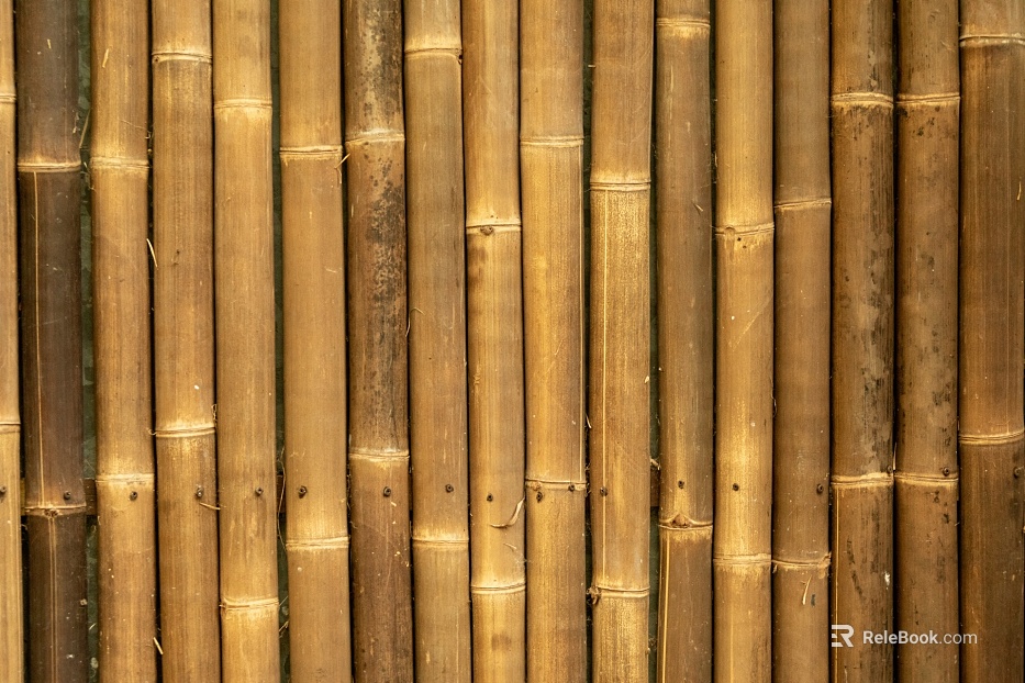Bamboo texture