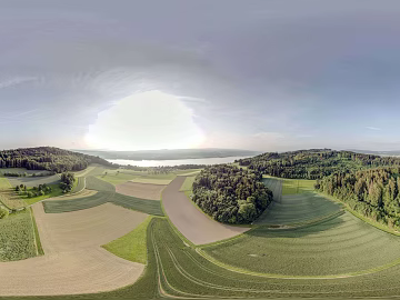 Outdoor bird's eye view forest field daytime HDR texture (ID:ffach191146)