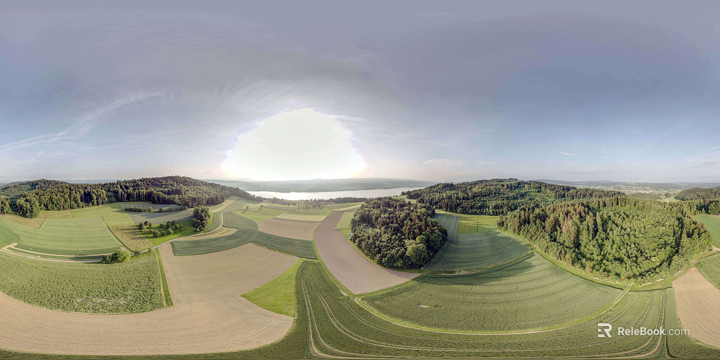 Outdoor bird's eye view forest field daytime HDR texture