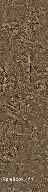 bark texture