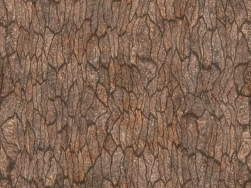 bark texture (ID:ffach544874)