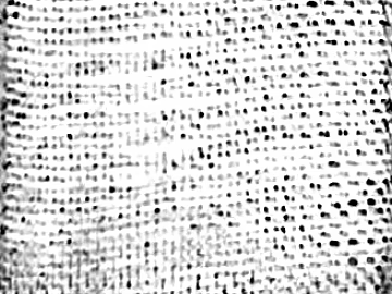 Black and White Bump texture (ID:ffaeg30822)