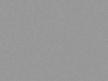 Wood Black and White Map texture (ID:ffaef2444)