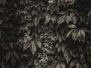 Black and White Bump texture (ID:ffaeg61803)