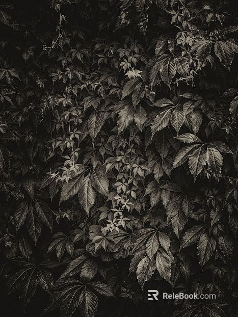 Black and White Bump texture