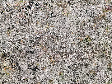 Cement floor texture (ID:ffach335363)