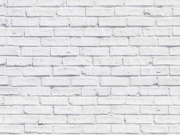 Brick wall texture (ID:ffajg28178)