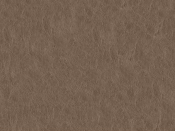 fine grain leather 3d model
