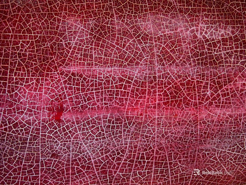 Wallpaper texture