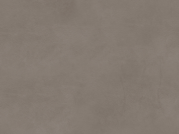 fine grain leather texture (ID:ffagg67818)