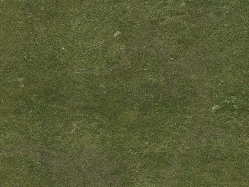 Turf texture (ID:ffach598416)