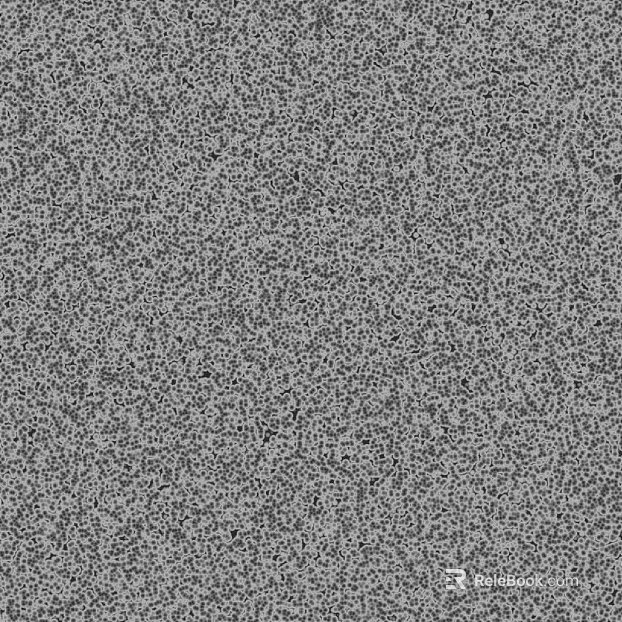 Black and White Bump texture