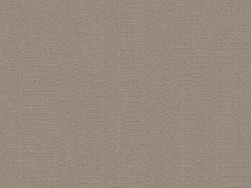plain cloth texture (ID:ffach605686)