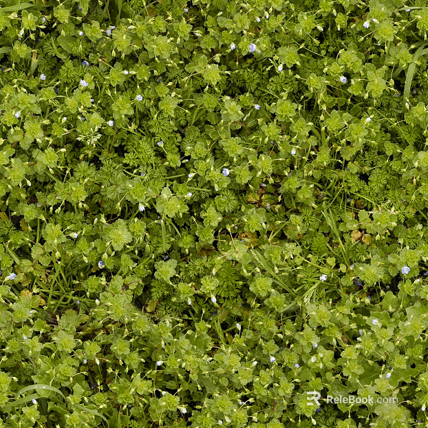 Turf ground texture