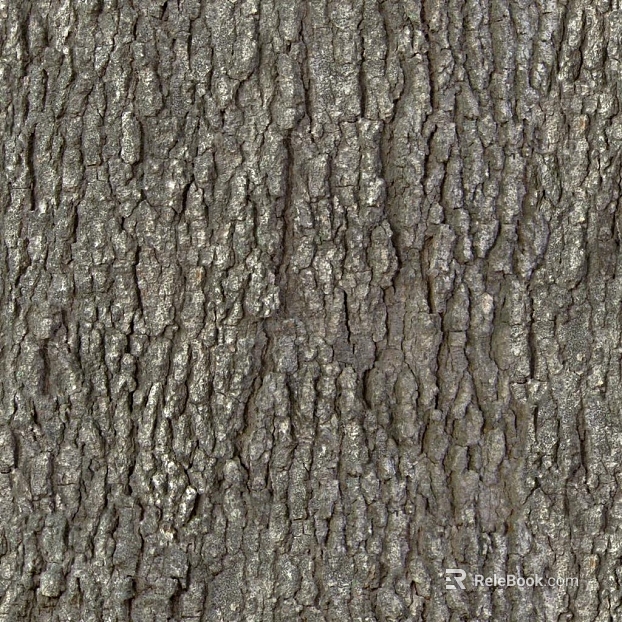 bark texture