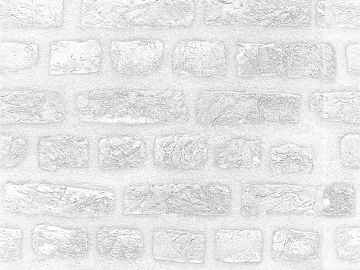 Black and White Bump texture (ID:ffaeg05099)