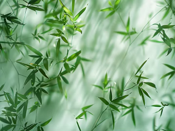 New Chinese bamboo background wall texture (ID:ffach774224)