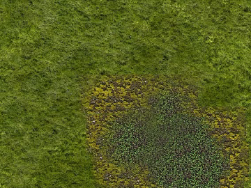 Green grass turf outdoor flooring 3d model