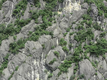 Rock texture (ID:ffajg43838)