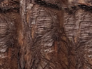bark texture (ID:ffabg34499)