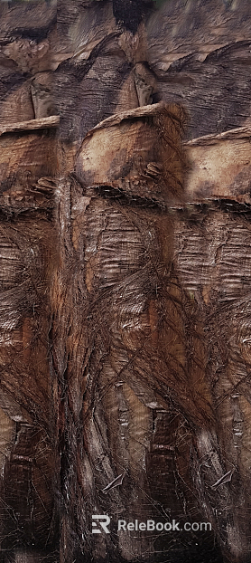 bark texture