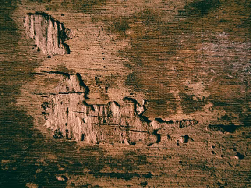 old wood dark brown old wood texture (ID:ffagg95203)