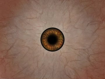 Eyes texture (ID:ffajg11878)