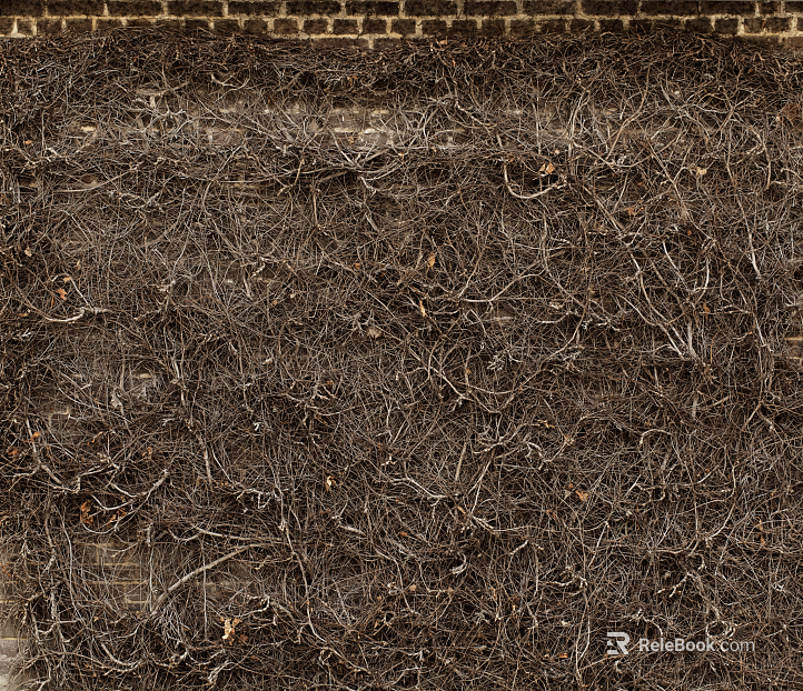 dead branches texture