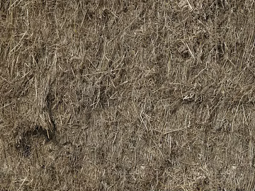 Thatch texture (ID:ffabg47378)