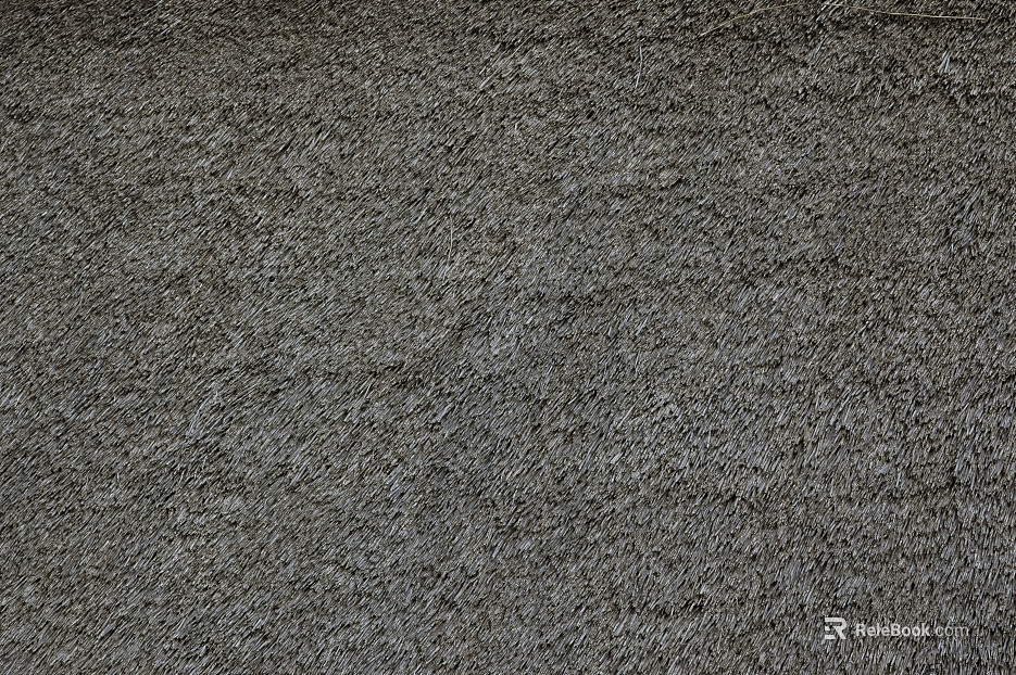 Thatched roof texture