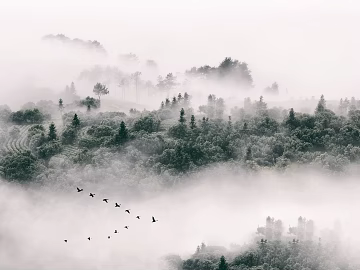 landscape painting texture (ID:ffajg99909)