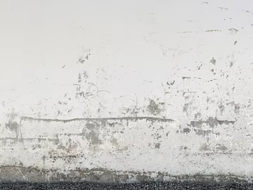 Cement gray white old wall texture (ID:ffaeg95216)