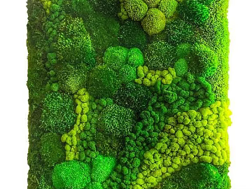 Plant wall texture (ID:ffaeg53120)