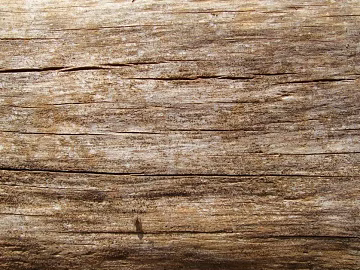 old wood texture (ID:ffagg38872)